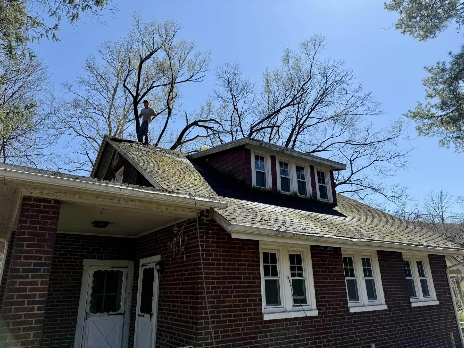 Back patio and fence cleaning result at a New Jersey home